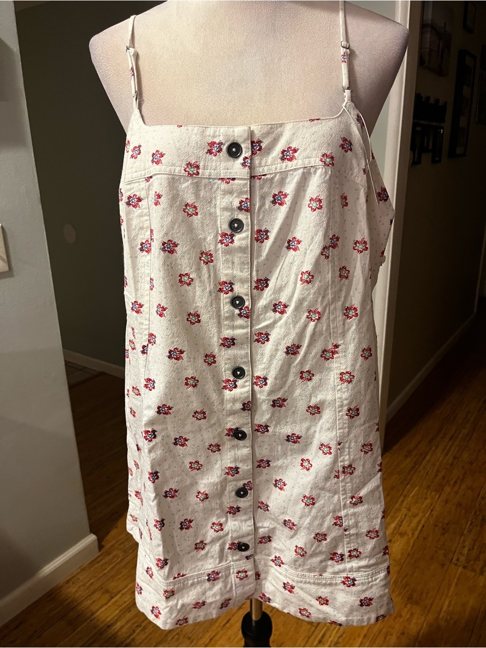 Free People Cream Mini Dress with Red Floral Print